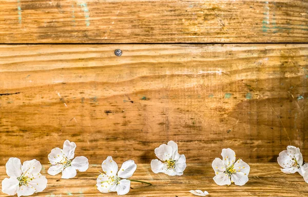 Apple blossom, spring background with blossoming branch on wooden boards