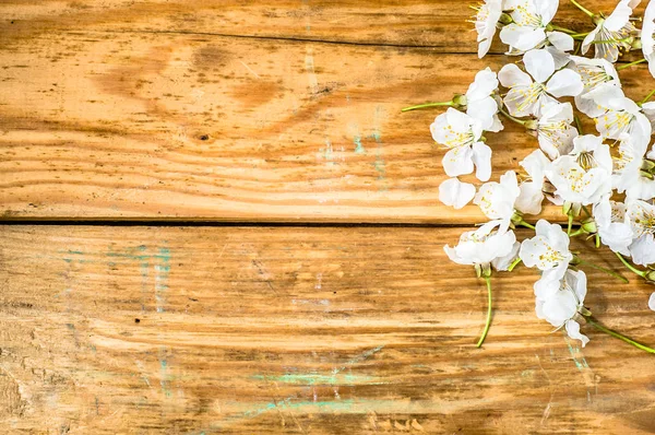 Apple blossom, spring background with blossoming branch on wooden boards