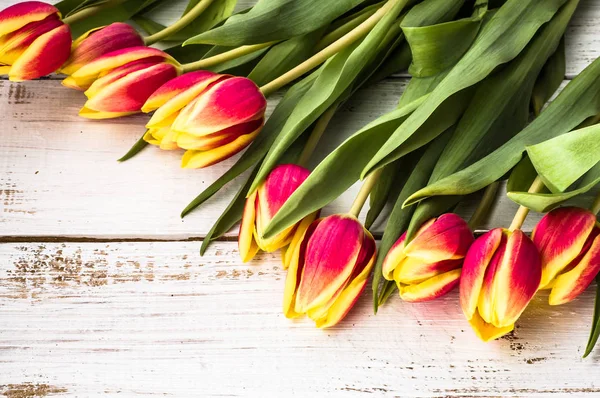 Bouquet de tulipes, fond printanier pour la fête des femmes - 8 mars ou carte pour la fête des mères — Photo