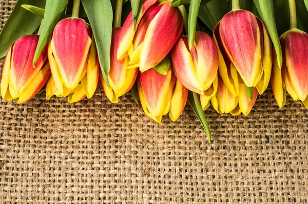 El ramo de los tulipanes, el fondo primaveral para el día de la mujer - 8 marcha o la tarjeta para el día de la madre — Foto de Stock