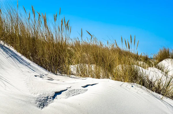 Sandy strand en duinen met gras onder de blauwe hemel, zomer-vakantie, reizen-achtergrond — Stockfoto