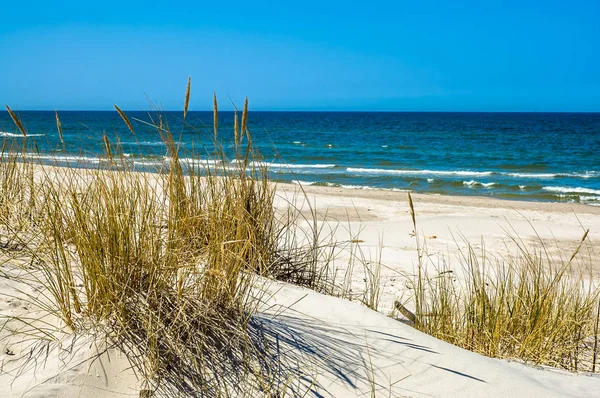 Dunas de areia com grama e praia de areia deserta sob o céu azul, férias de verão, fundo de viagem — Fotografia de Stock