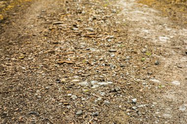 Toprak yol doku arka plan