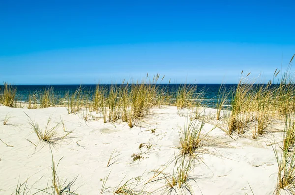 Opuštěné písečná pláž, krajina s dunami a tráva pod modrou oblohou v létě — Stock fotografie