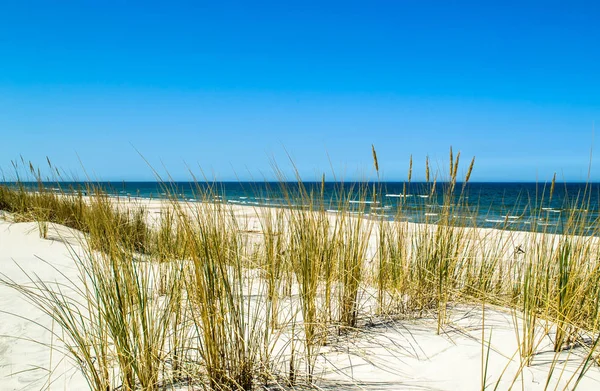 Opuštěné písečná pláž, krajina s dunami a tráva pod modrou oblohou v létě — Stock fotografie