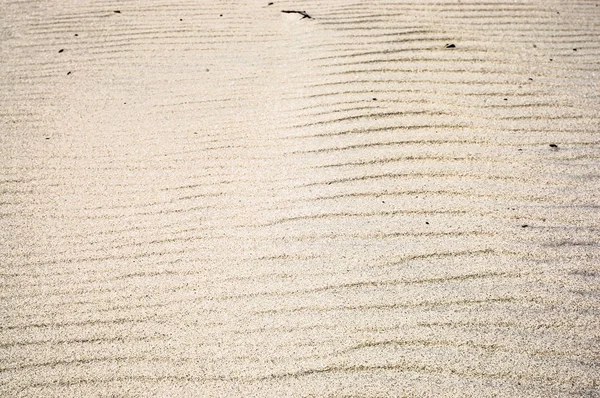 Background of sand, texture, sandy waves on the beach, pattern in nature — Stock Photo, Image