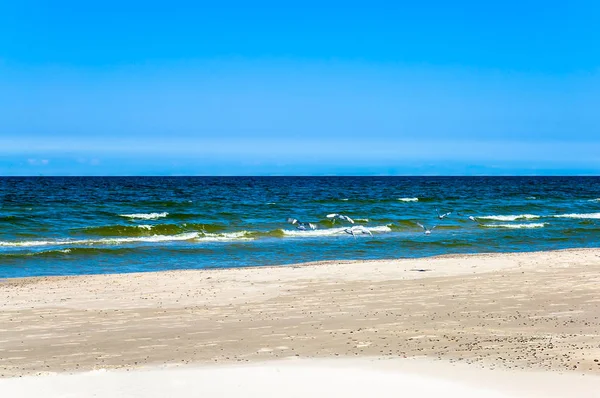 Öde strand under blå himmel, semester, resor bakgrund — Stockfoto