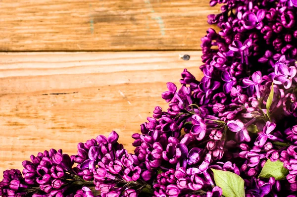 紫色のライラックの花フレーム、スプリング バック グラウンド — ストック写真