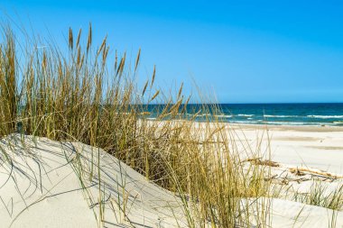 Issız kumsalı, tepeleri ve çim yaz aylarında mavi gökyüzünün altında yatay