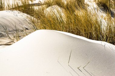 Kum tepeleri ve çim plaj deniz üzerinde