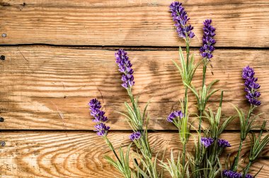 Rustik ahşap arka plan üzerinde lavanta çiçekleri