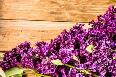 Leylak ahşap arka plan, Bahar çiçeği buketi çiçek