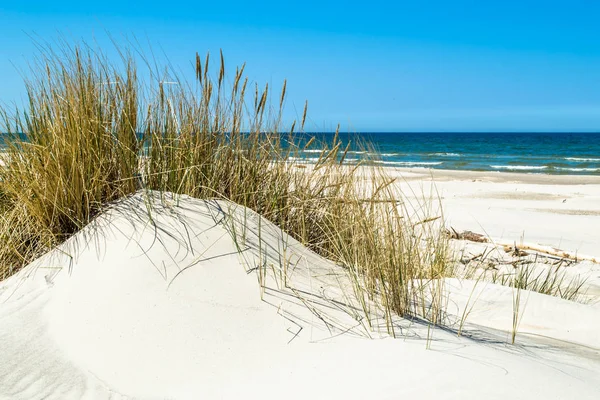 Praia de areia deserta, paisagem com dunas e grama sob o céu azul no verão — Fotografia de Stock