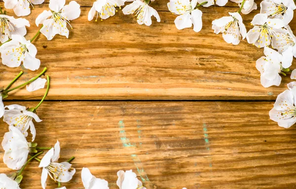 Fleur de pommier, fond printanier avec branche fleurie sur des planches en bois — Photo