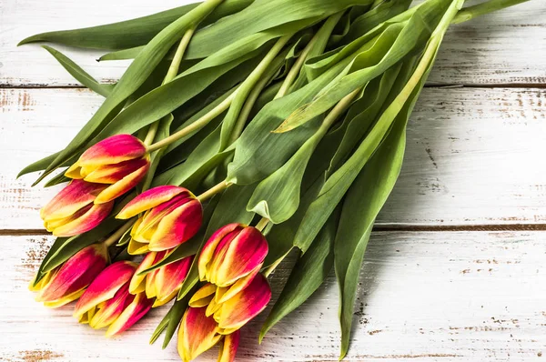 Bouquet of tulips, spring background for women's day - 8 march or card for mother's day