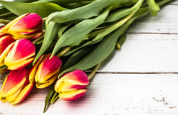 Bouquet de tulipes, fond printanier pour la fête des femmes - 8 mars ou carte pour la fête des mères — Photo
