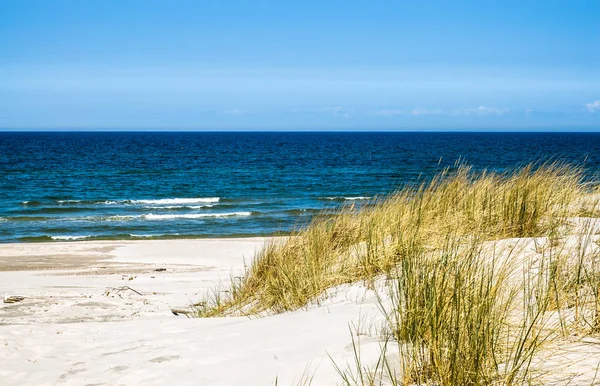 Praia de areia deserta, paisagem com dunas e grama sob o céu azul no verão — Fotografia de Stock