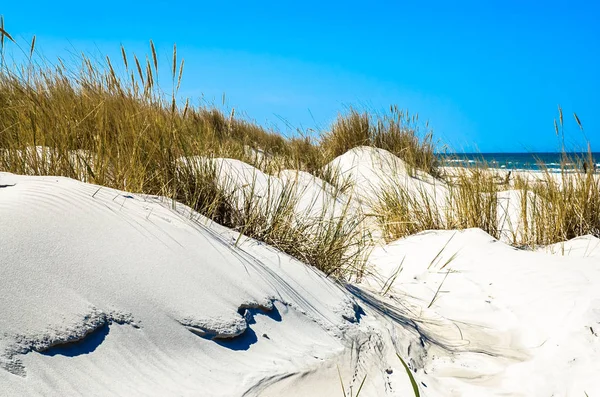 Písečné duny s trávou a opuštěné pláže pod modrou oblohou, prázdniny, cestování pozadí — Stock fotografie