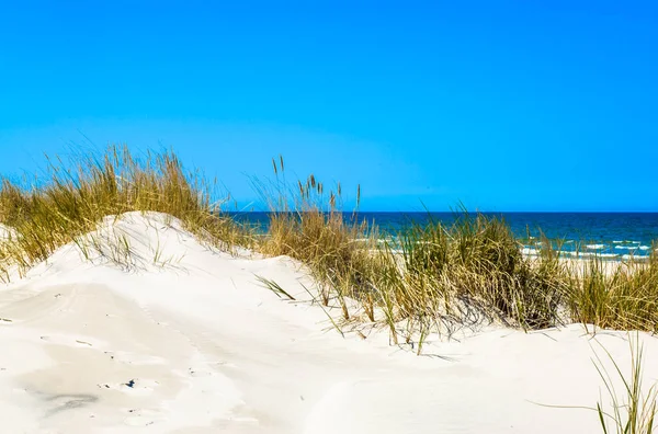 Піщані дюни з травою і безлюдний піщаний пляж під блакитним небом, літні канікули, подорожі фону — стокове фото