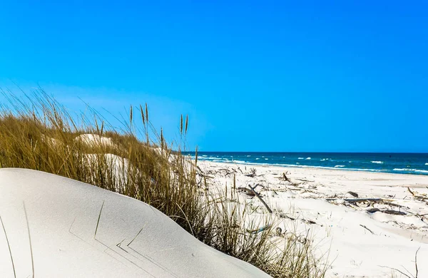 Písečné duny s trávou a opuštěné pláže pod modrou oblohou, prázdniny, cestování pozadí — Stock fotografie