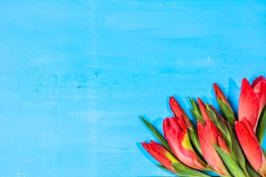 Pembe çiçekler, anneler günü kartı için arka plan bahar