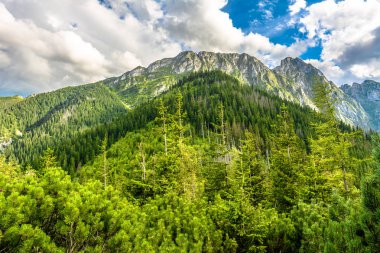 Top of mountain, Giewont in Tatra Mountains, summer, landscape, Poland clipart