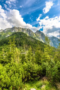 Bahar Peyzaj ve mavi gökyüzü, dağlarda görüntülemek Giewont tepe üzerinde iz hiking