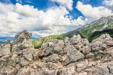 Rock dağ Tatras tepe üzerinde