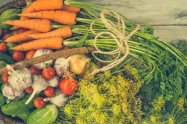 Colección de verduras en la cesta, productos agrícolas locales, imagen tonificada — Foto de Stock