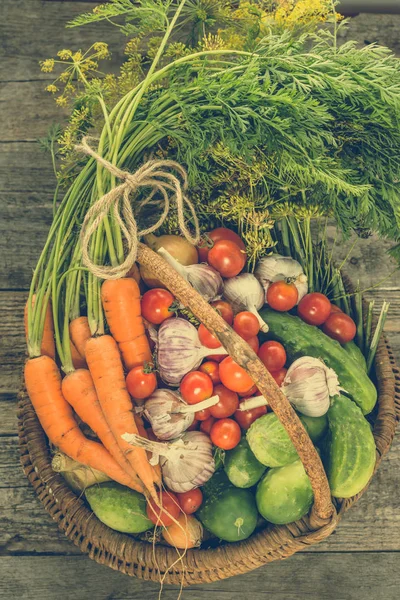 Colección de verduras en la cesta, productos agrícolas locales, imagen tonificada — Foto de Stock