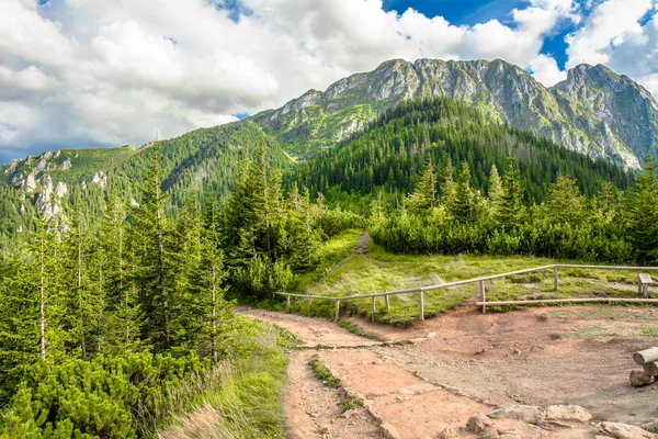 Vue du sentier de randonnée dans les montagnes Tatra du sommet de la montagne, été, paysage, Pologne — Photo