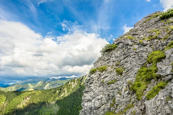 Kayalık dağ orman Sarnia Skala, yaz, peyzaj, Polonya üstünden görünümünü Tatra Dağları,