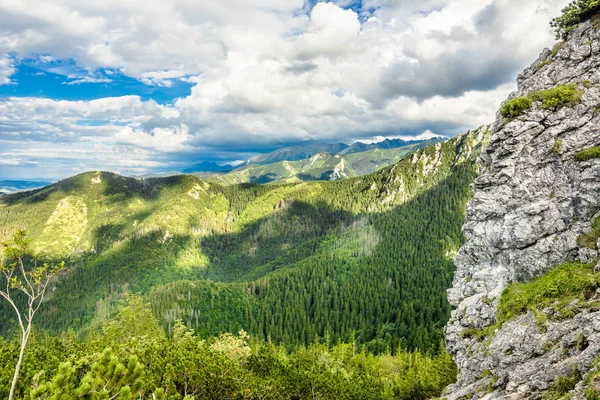 Panorama gór w Tatry, widok na las od góry, góry, lato, krajobrazu, Polska — Zdjęcie stockowe