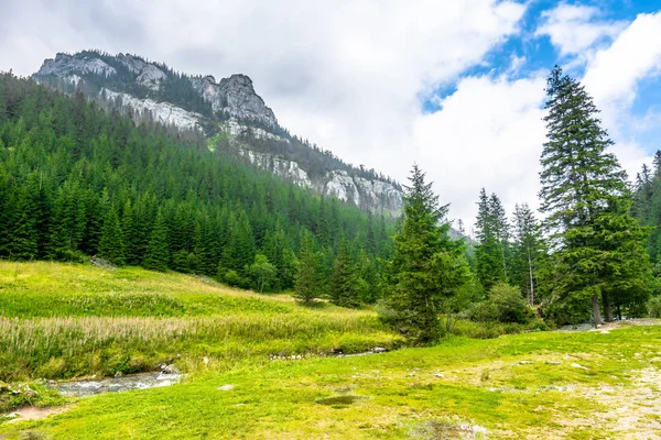 Toppen av berget, utsikten från våren äng och creek, tallskog omgiven peak i Tatrabergen, landskap — Stockfoto