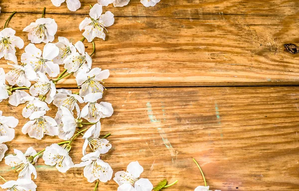 Apple blossom, spring background with blossoming branch on wooden boards