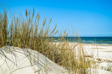 Issız kumsalı, tepeleri ve çim yaz aylarında mavi gökyüzünün altında yatay