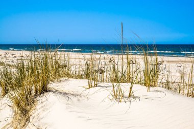 Kum tepeleri plaj deniz görünümü, Leba, Baltık Denizi manzara, Pol çimen