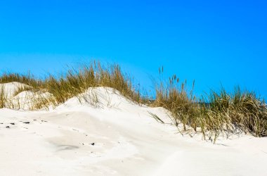 Sandy beach ve kum tepeleri ile çim mavi gökyüzü, yaz tatili, altında arka plan seyahat