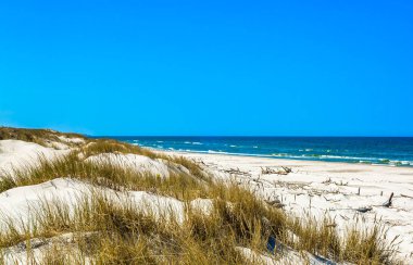 Sandy beach ve kum tepeleri ile çim mavi gökyüzü, yaz tatili, altında arka plan seyahat
