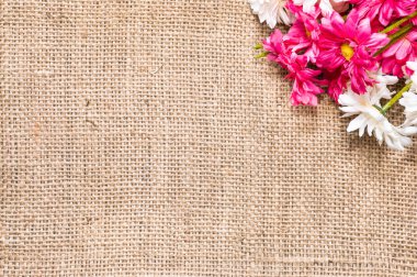 Buket gerbera papatya çiçek, anneler günü için Bahar arka plan