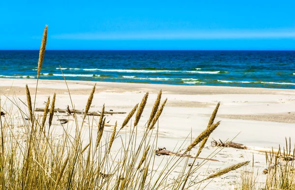 沙滩和沙丘与草地下蓝蓝的天空，暑假里，旅行背景 — 图库照片