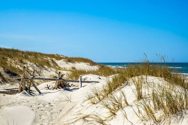 Verlaten zandstrand, landschap met duinen en gras onder de blauwe hemel in de zomer — Stockfoto