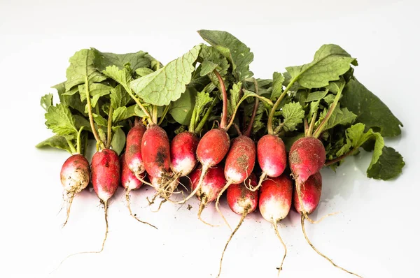 Bunch of radish isolated on white background, fresh vegetables from local market — Stock Photo, Image
