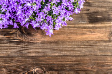 Bahar çiçekleri arka plan kopya alanı ile.