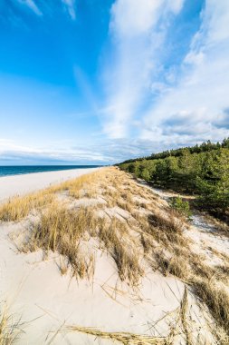 Kumsal, deniz ve çam ormanı, Leba, Polonya üzerinden kumul manzara