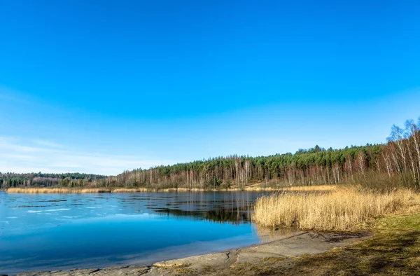Dzikie jezioro krajobraz wiosną i błękitne niebo — Zdjęcie stockowe