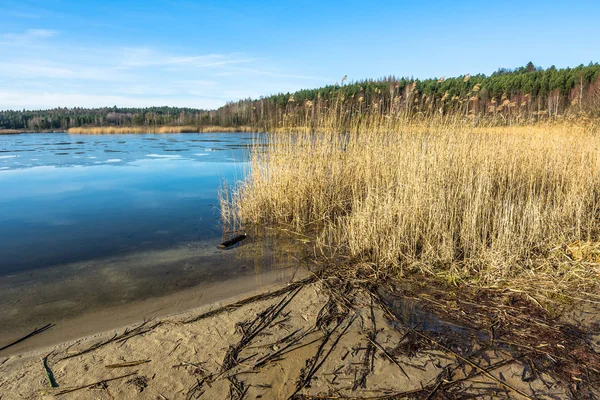 Paisaje salvaje del lago en primavera y cielo azul — Foto de Stock