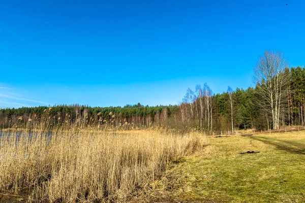 Paisaje primaveral de campo y bosque cerca de lago salvaje con hierba seca — Foto de Stock