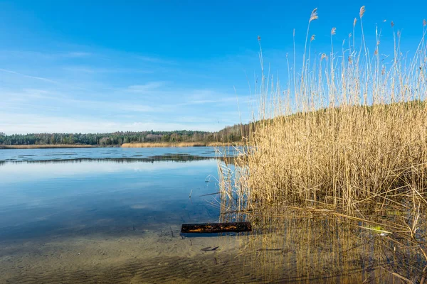 Paisaje salvaje del lago en primavera y cielo azul — Foto de Stock