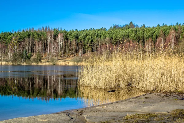 Vilda sjön liggande på våren och blå himmel — Stockfoto